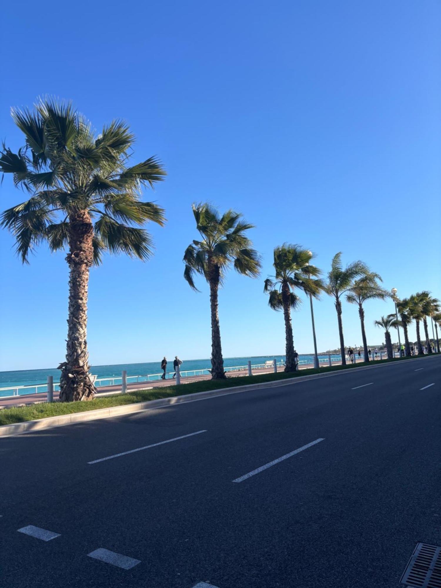 Grand Studio De 30 M2 Promenade Des Anglais Nice Exterior photo